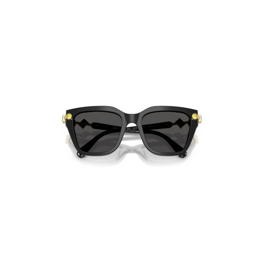 Swarovski Femme Lunettes De Soleil