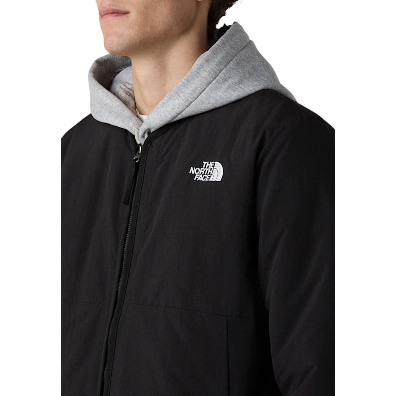 The North Face Homme Jaquettes