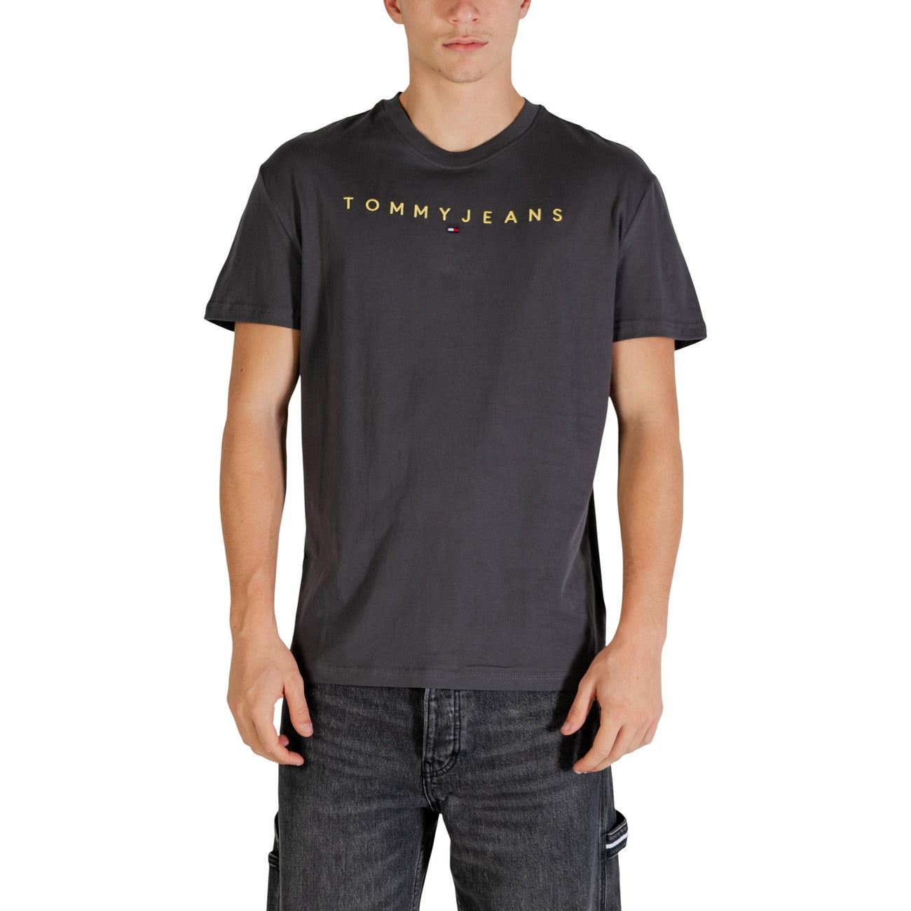 Tommy Hilfiger Jeans Homme T-Shirts