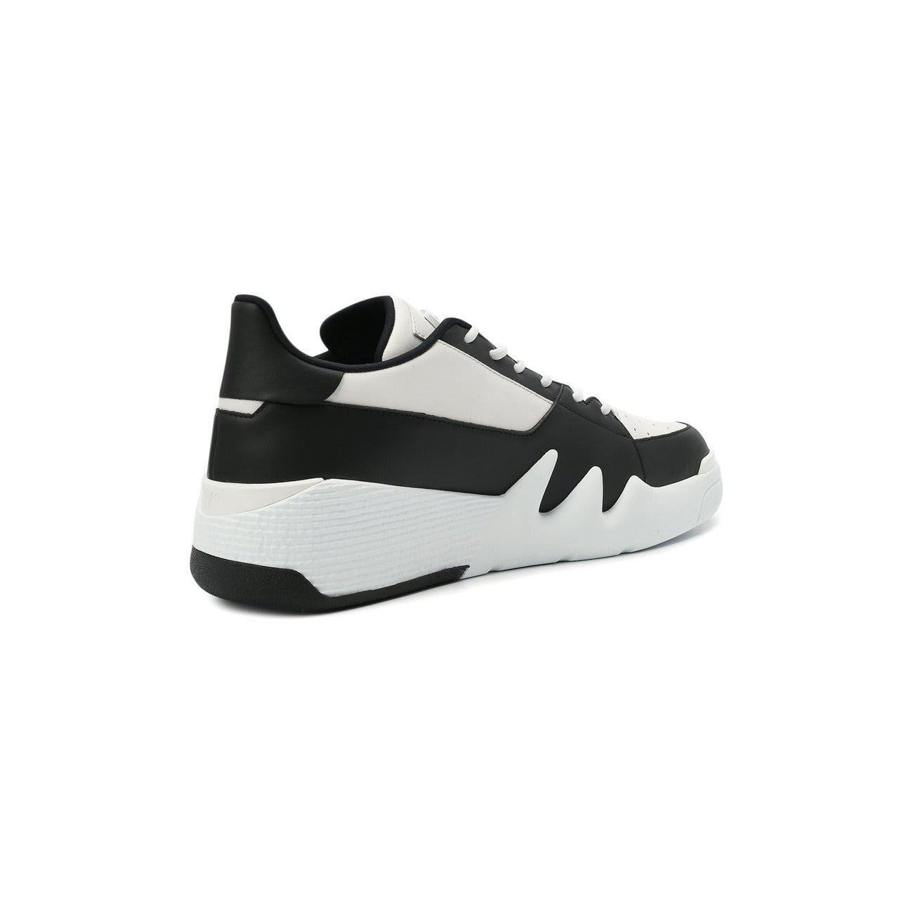 Giuseppe Zanotti  Homme Baskets