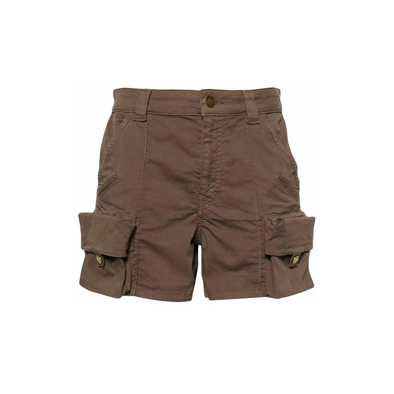 Pinko Femme Shorts