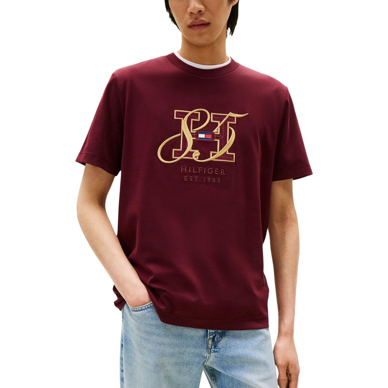 Tommy Hilfiger Homme T-Shirts