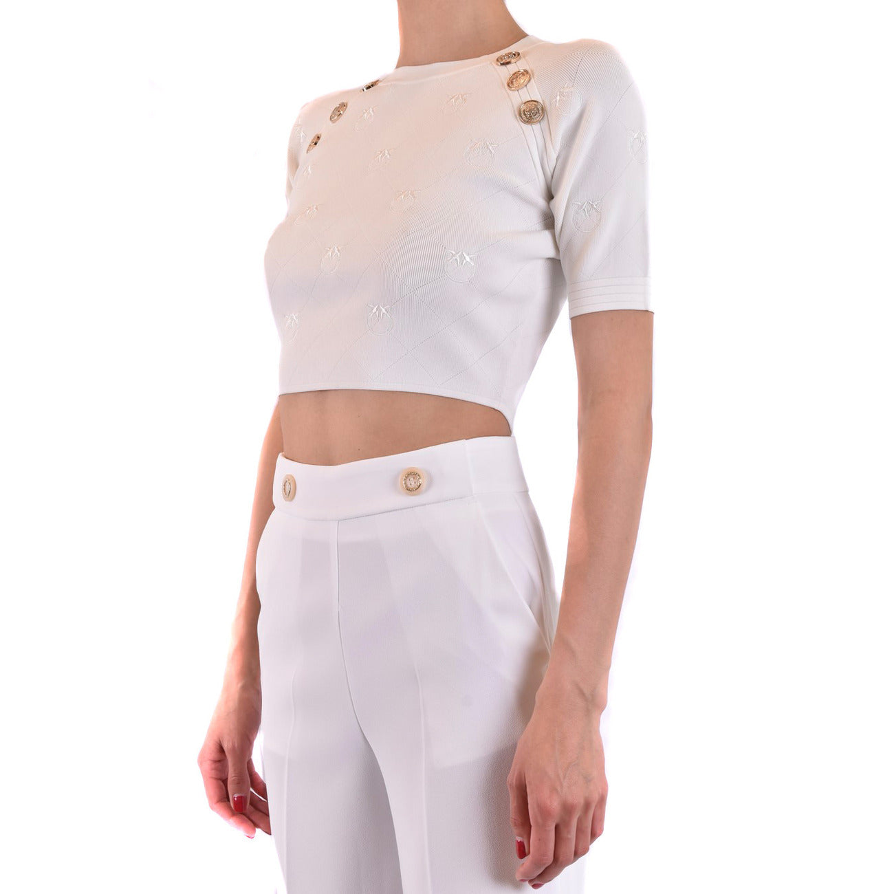 Pinko Femme Pulls