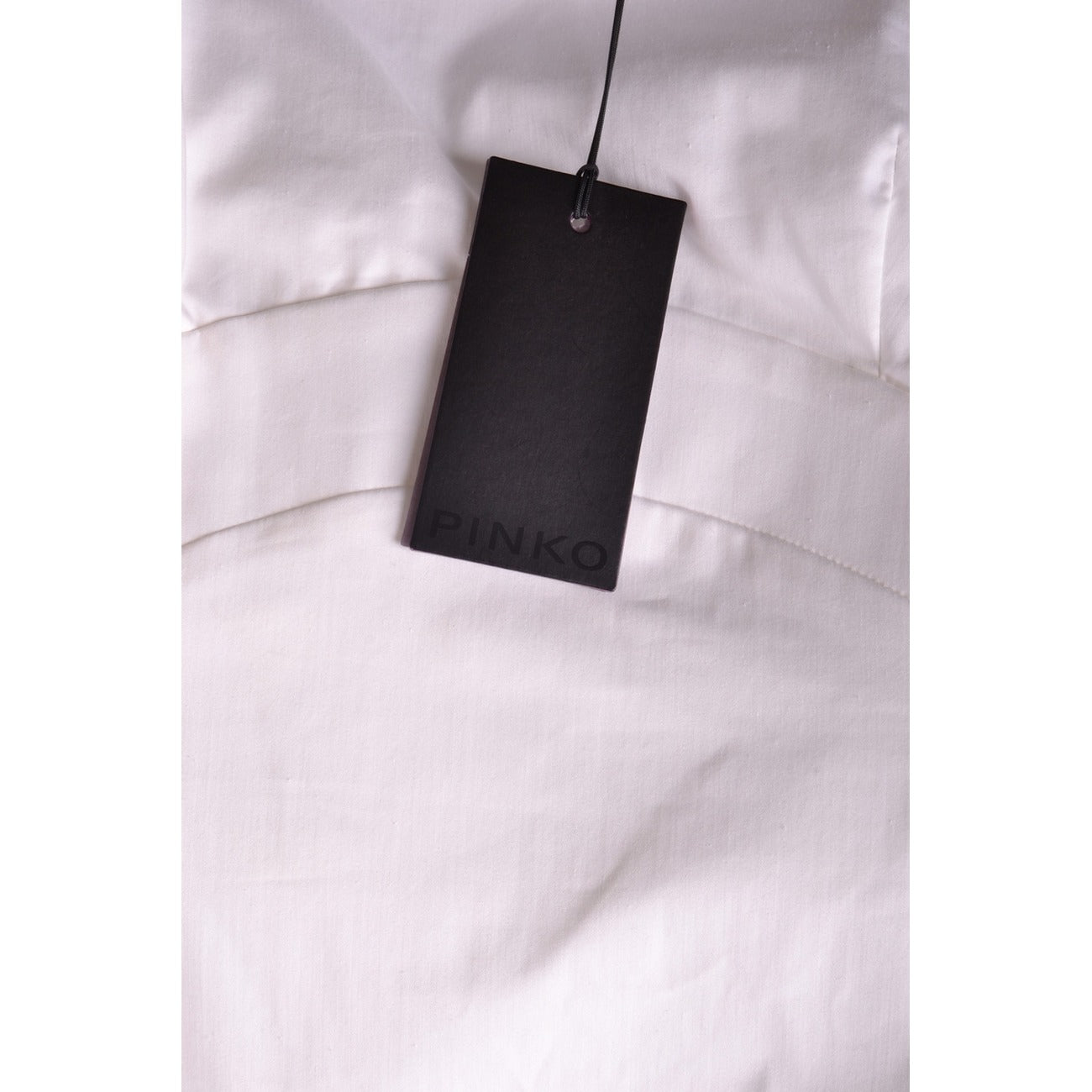 Pinko Femme Robes